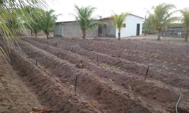 Sítio à venda, 100000 m² por R$ 300.000,00 - Ceará-mirim - Ceará-Mirim/RN