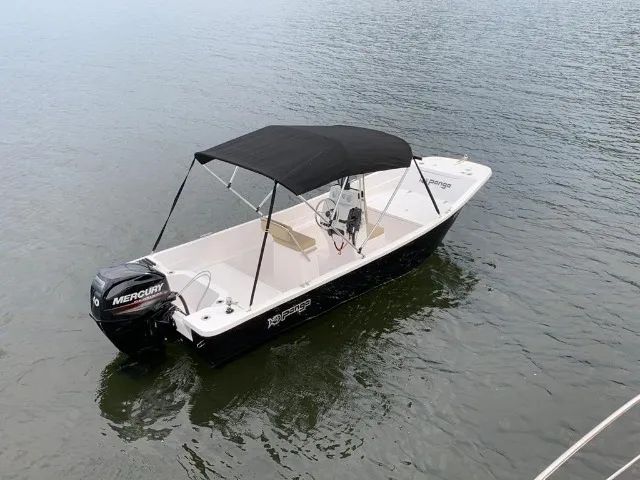 VENDO BARCO PANGA 15 PÉS IMPECÁVEL!