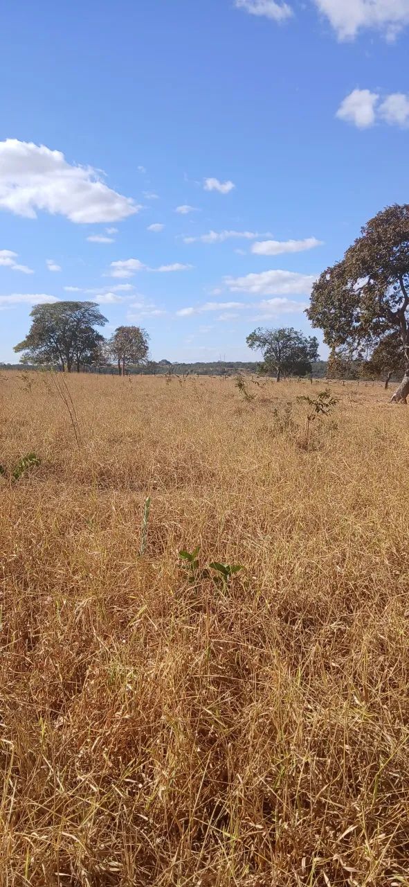 Fazenda Disponível pra Venda......No Estado de Goiás........No município de Luziania. Goiá - Foto 2