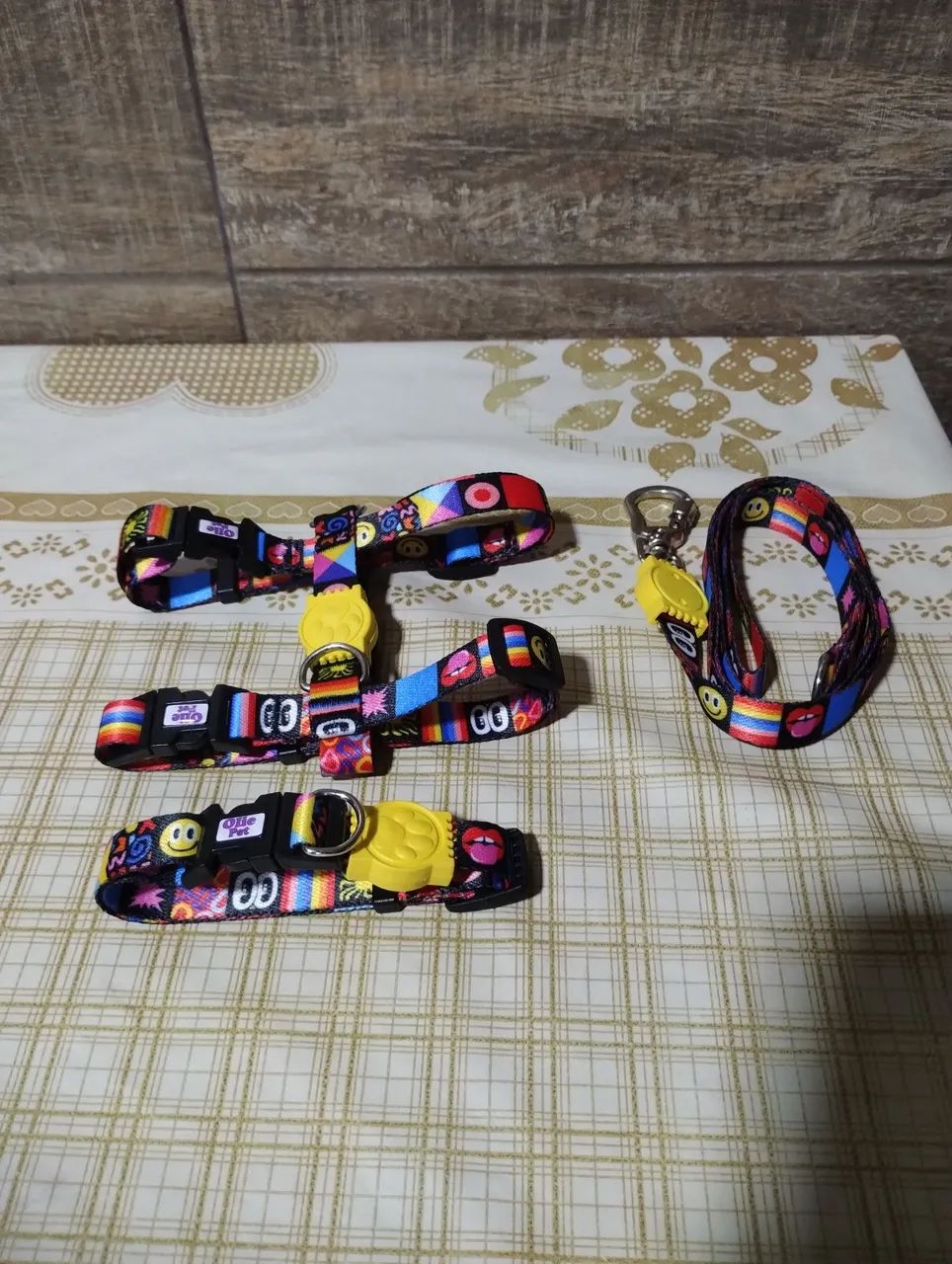 Coleira e guia para cachorro  - Oliepet