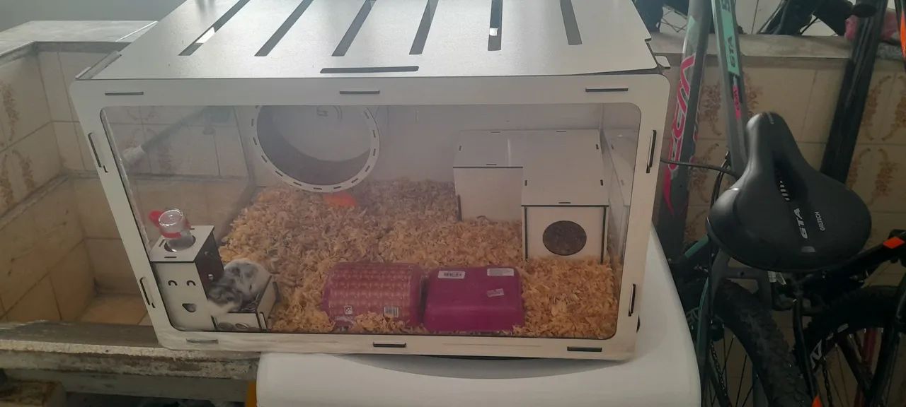 Casinha e dois hamsters  - Foto 2