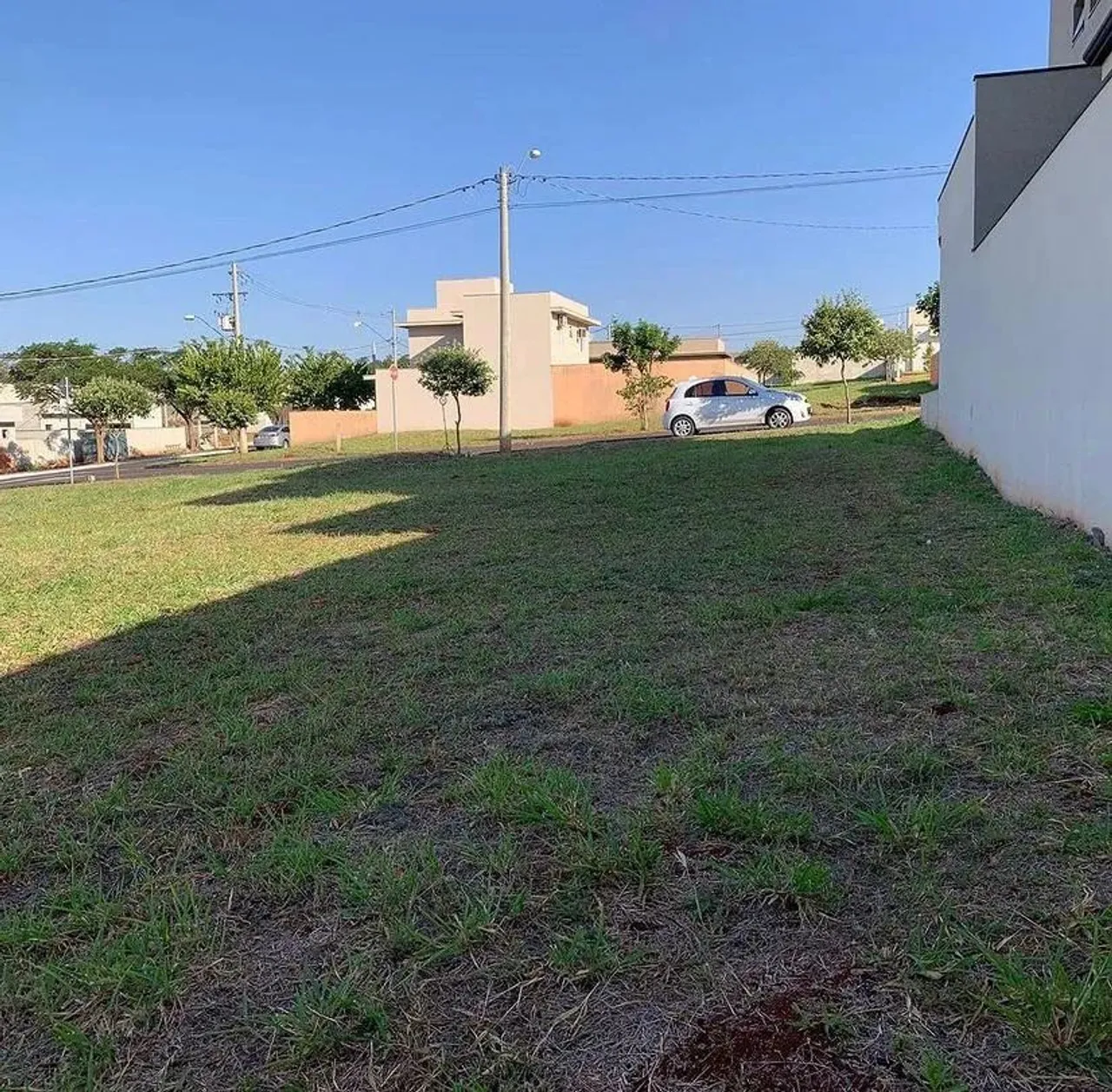 - Ribeirão Preto