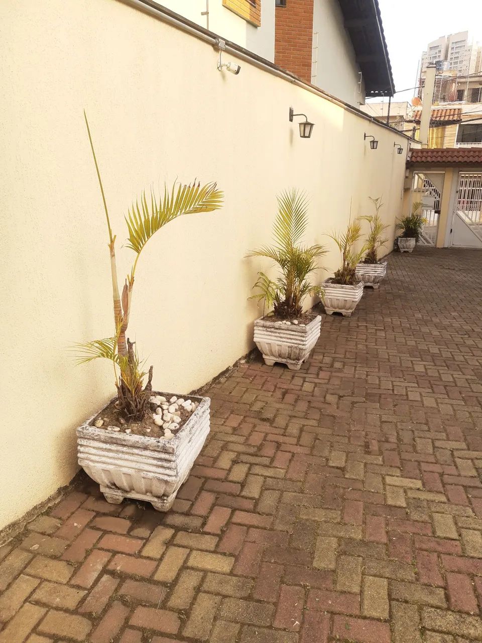Jardineiro em Guarulhos ( Residência / Comércio / Empresa ) - Foto 2