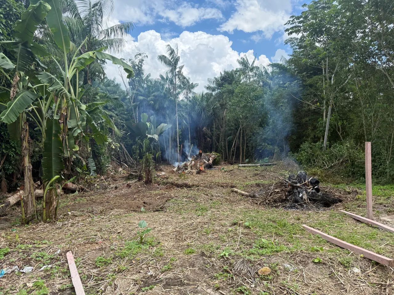 Venda terreno 10x65 - Foto 3