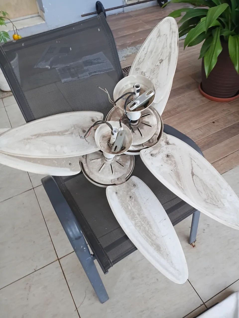 Ventilador de teto