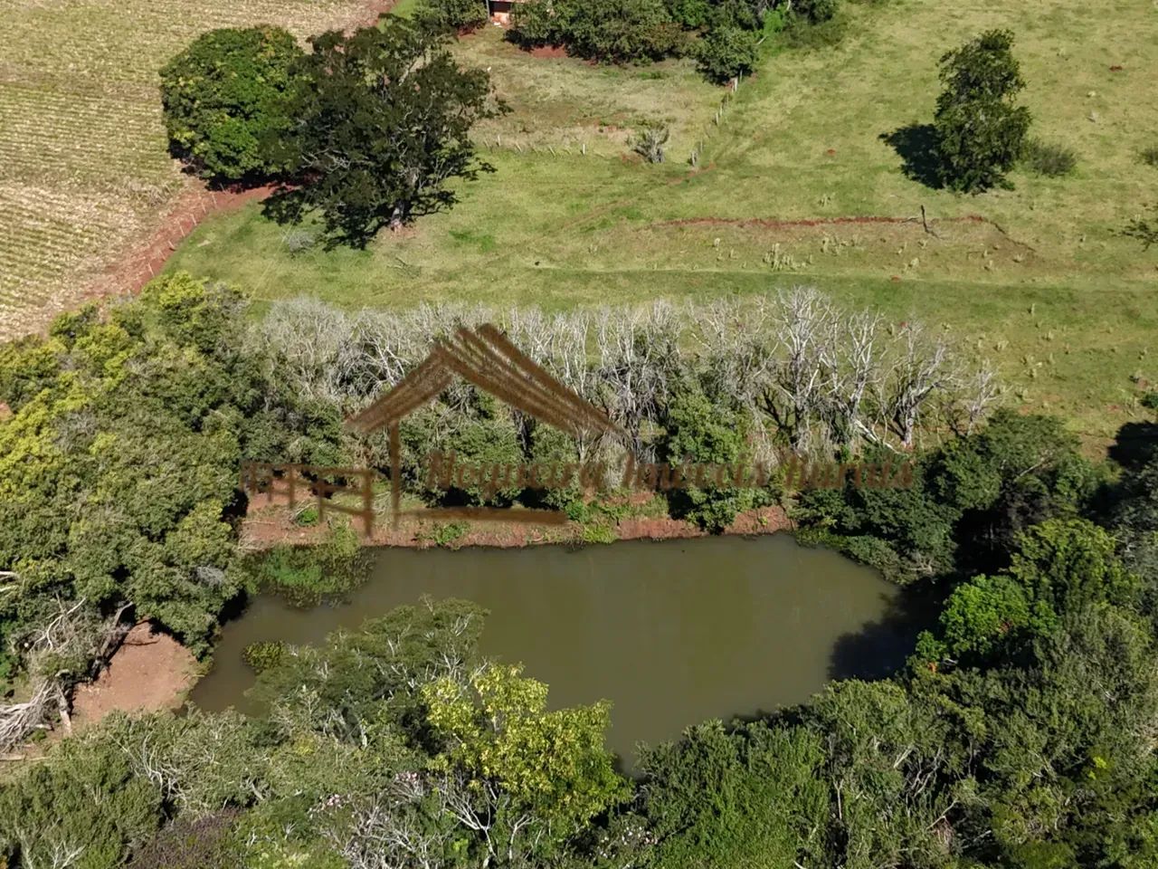Sitio a venda com 6,4 alqueires em Avaré-SP - Foto 5