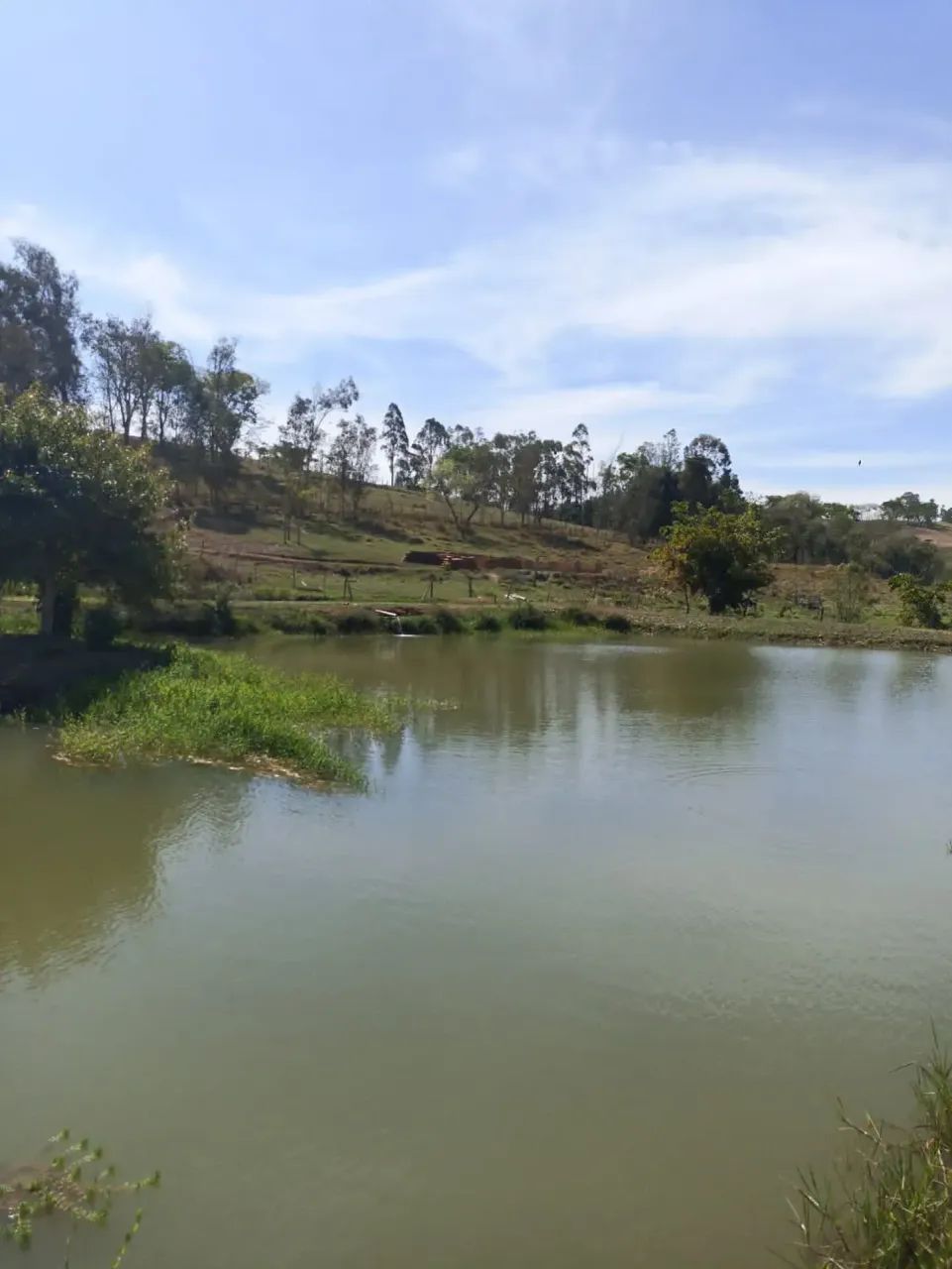 Sitio a venda  Botelhos MG - Foto 2