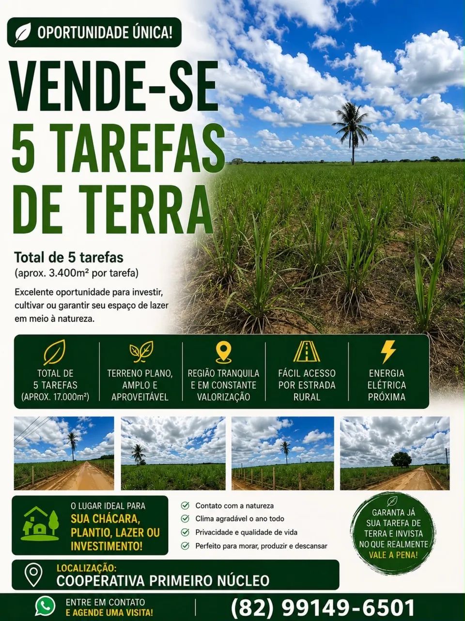 Vende - se 5 tarefas e meia de terra 