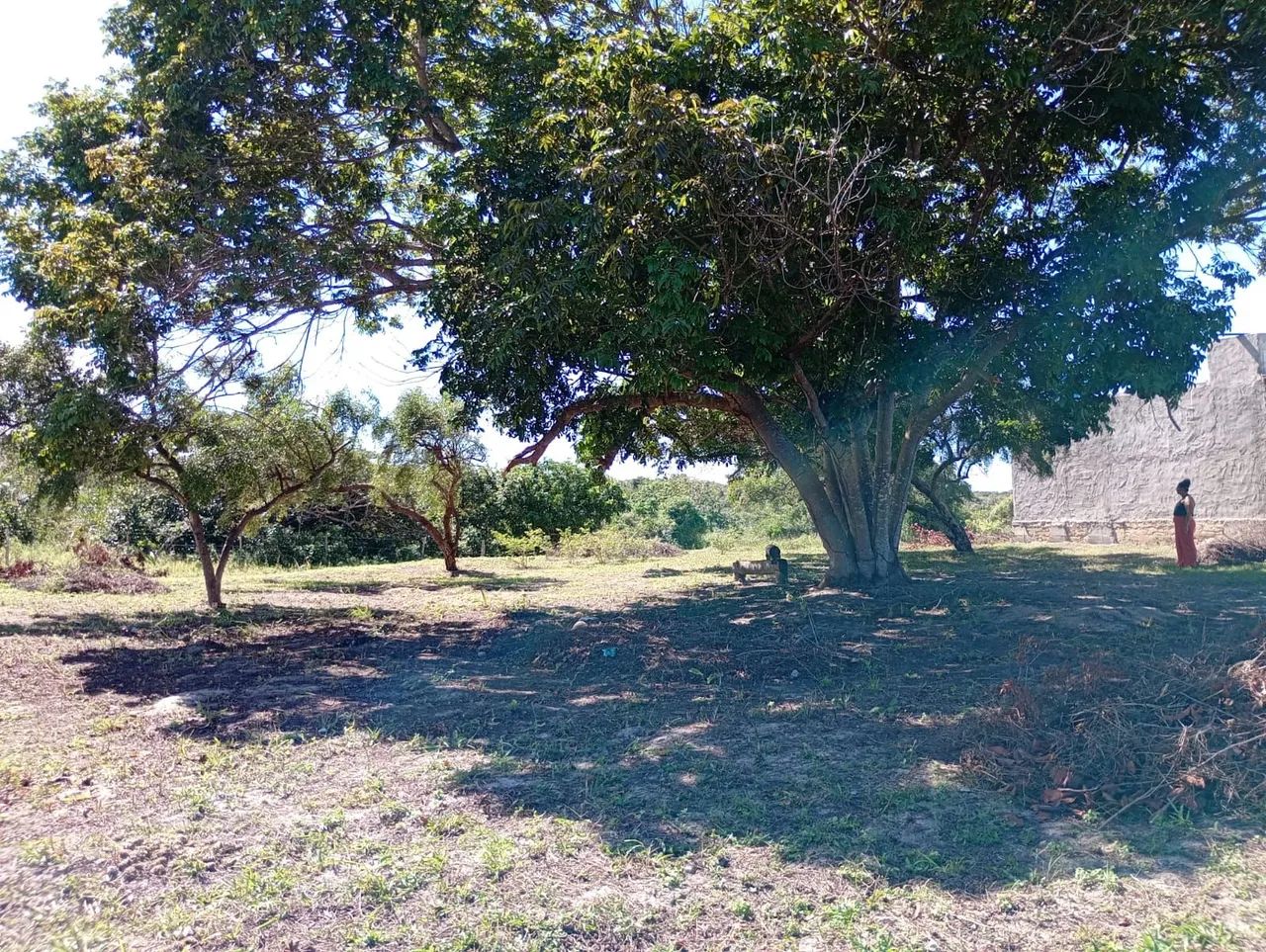 Terreno - Sergipe - Pirambu - Lagoa Redonda  - Foto 3