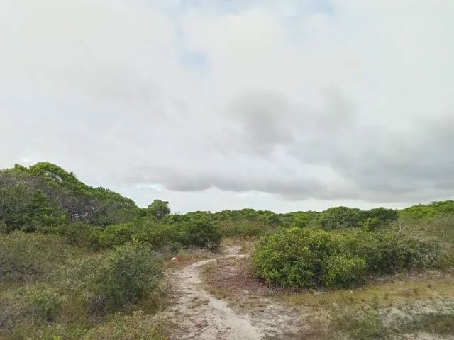 Terreno em Santo Amaro do Maranhão - Foto 2