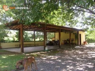 Venda Sítio Zona Rural Conceição do Pará - Foto 4