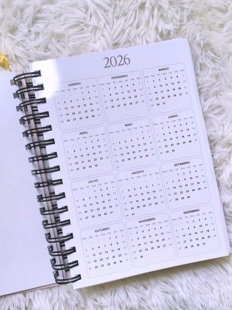Agenda Personalizada - Tema Bíblico - Foto 4