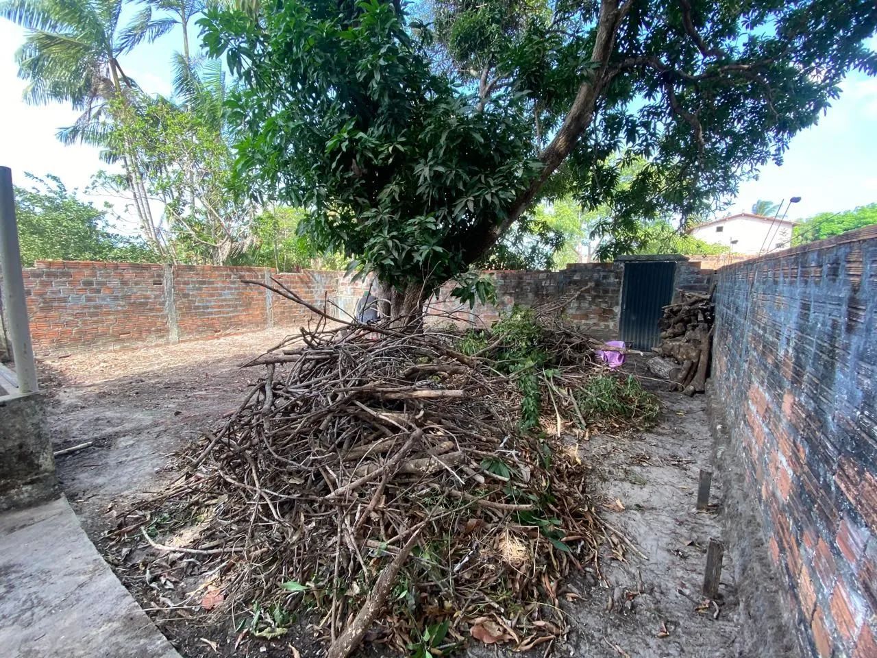 Vende-se uma casa - Foto 3