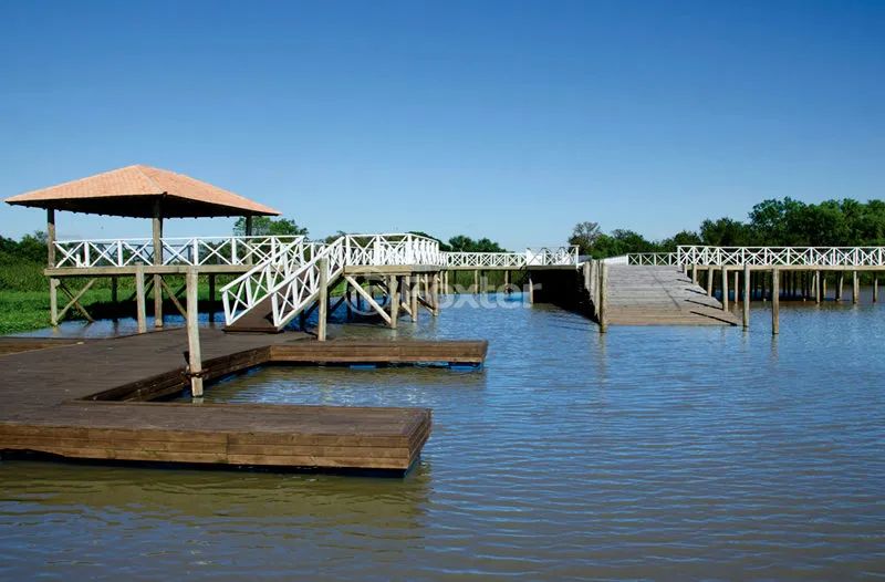 Terreno em Condomínio à venda Estrada Do Conde, Sans Souci - Eldorado do Sul - Foto 4