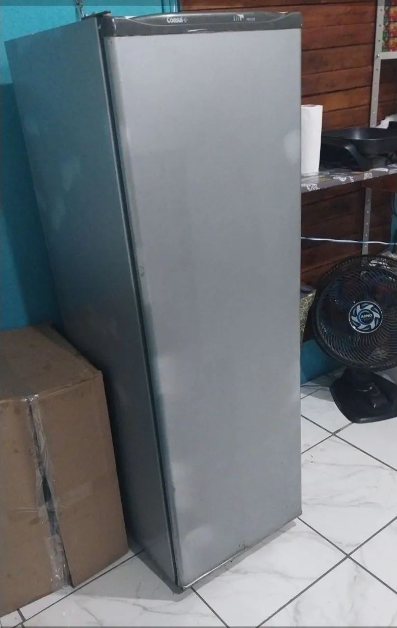 Freezer vertical consul 