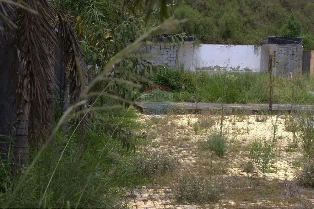 Terreno com 840m². Área livre. - Foto 3