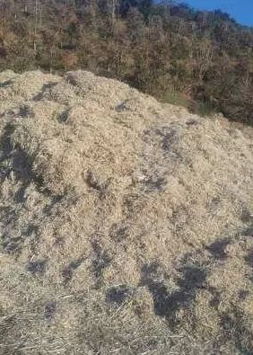 BAGAÇO DE CANA COM MELAÇO  - Foto 2