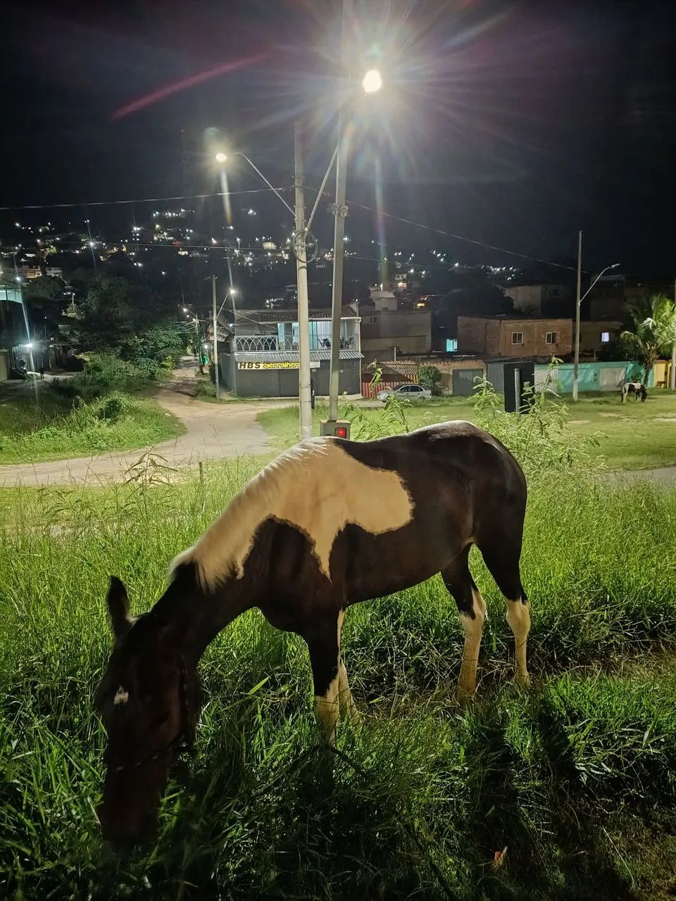 Oportunidade  - Foto 6