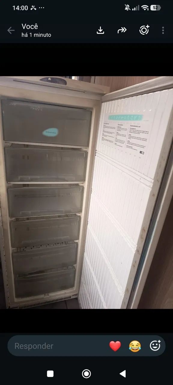 Freezer vertical Eletrolux - Mod F210 - Foto 3