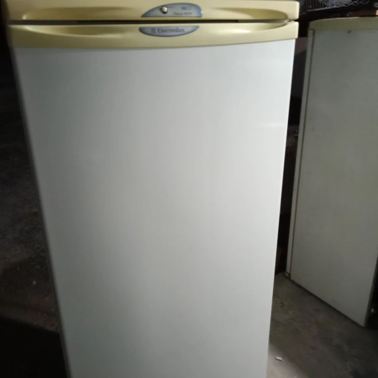 Freezer Eletrolux F21 