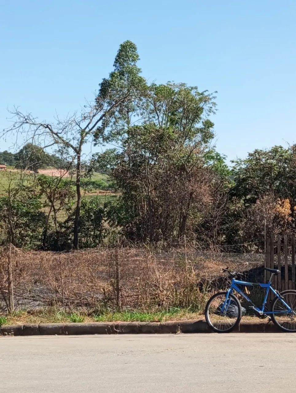 Terreno 