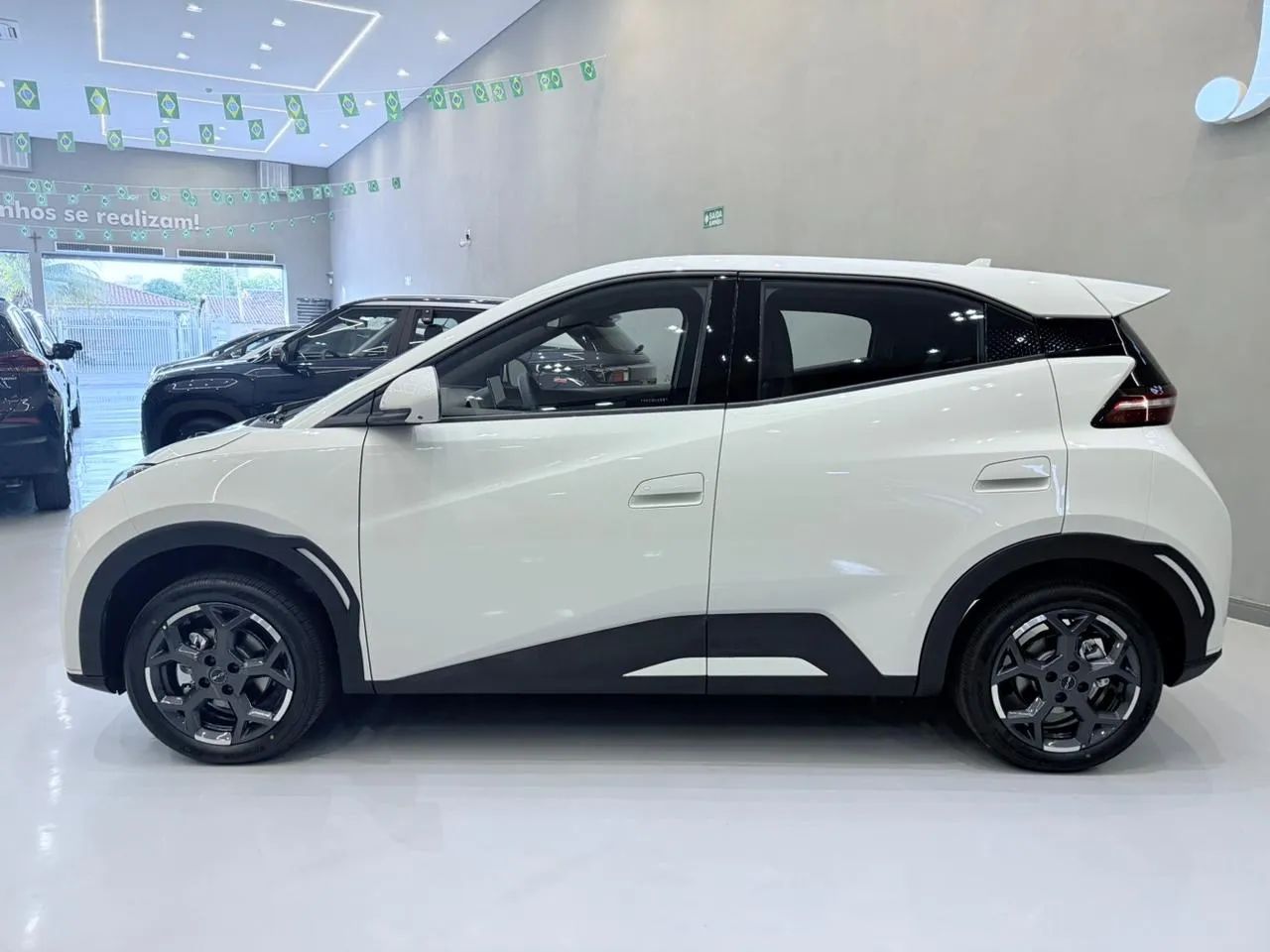 BYD Dolphin Mini (Elétrico) 2027 - Foto 4