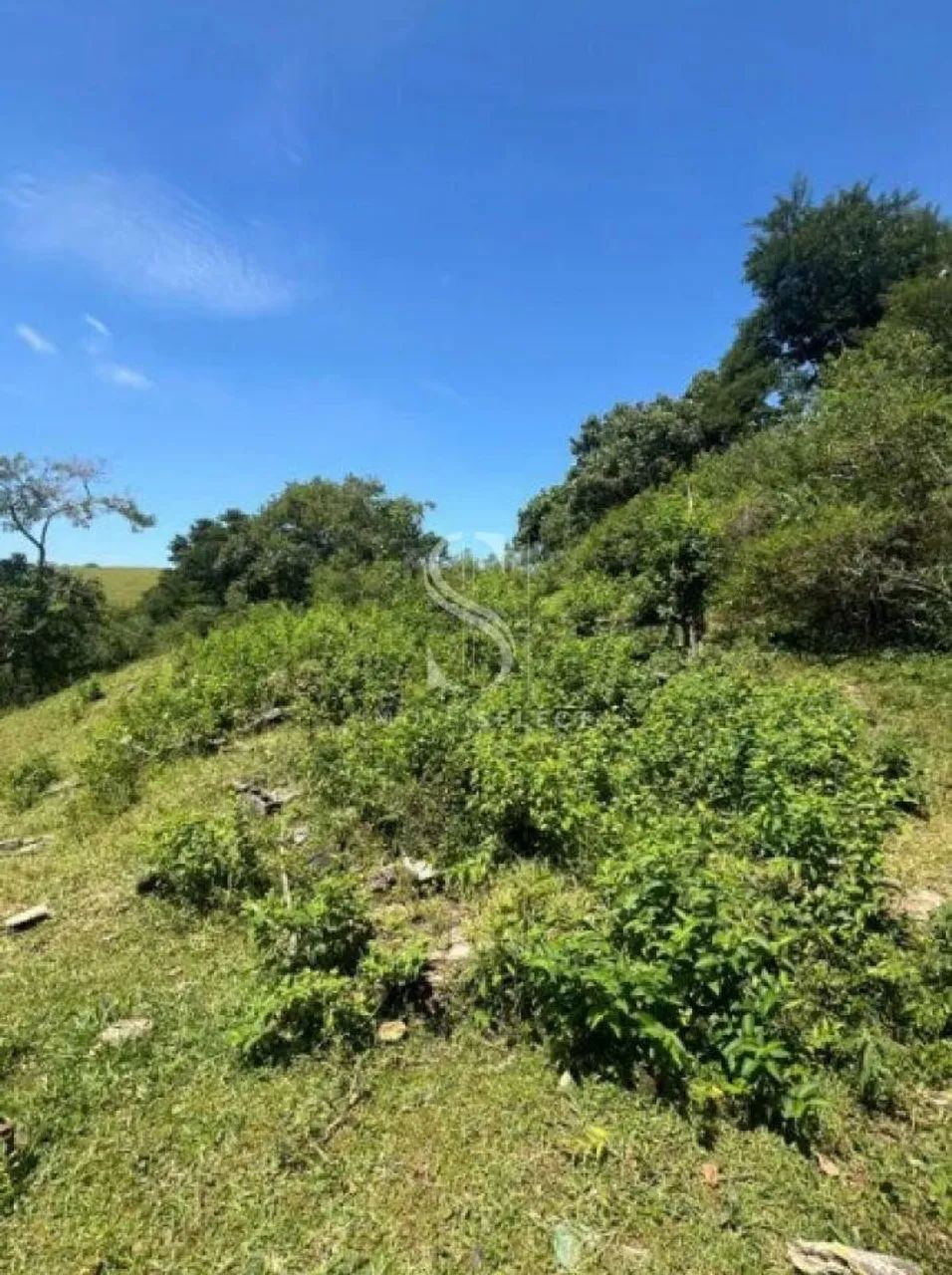 Terreno em Parque Edu Chaves - São Paulo