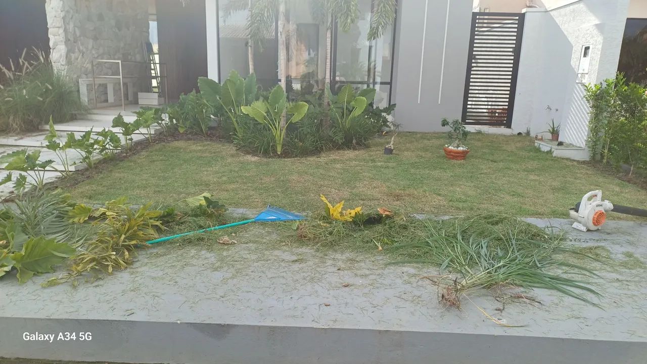 Jardinagem em geral  - Foto 2