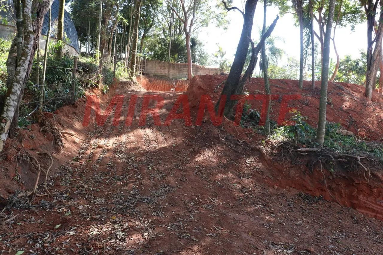 Terreno em SANTA INÊS - Foto 5
