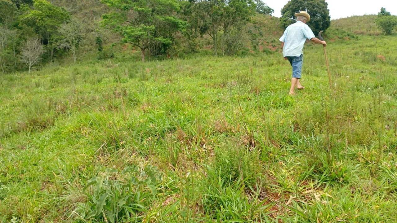 Terreno em Ewbank da Câmara - Foto 3