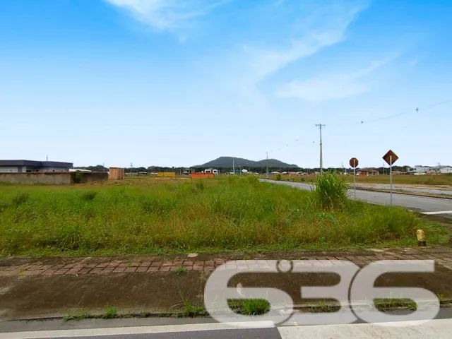 Terreno | São Francisco do Sul | Ubatuba - Foto 2