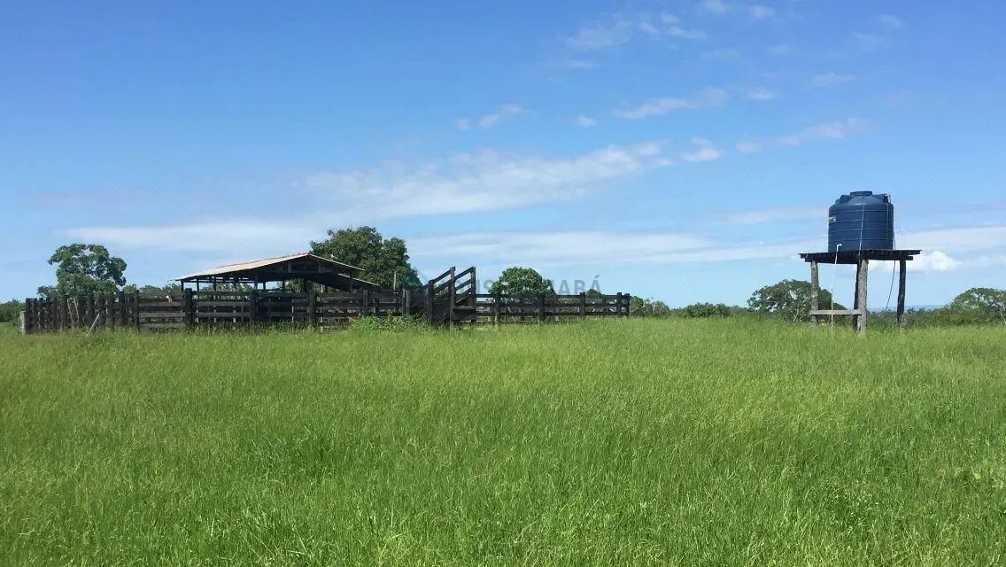 FAZENDA À VENDA  REGIÃO DE POCONÉ / MT