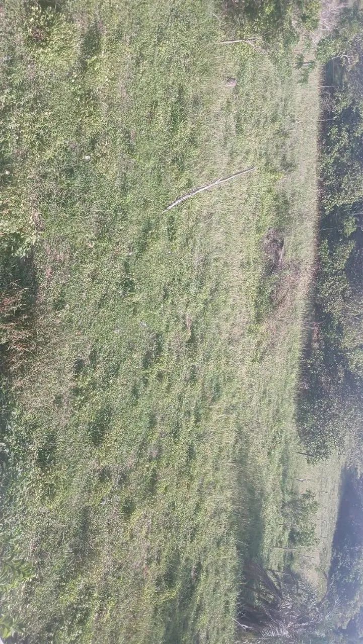 900m2 de Terreno na Matapoa, Oportunidade! - Foto 2