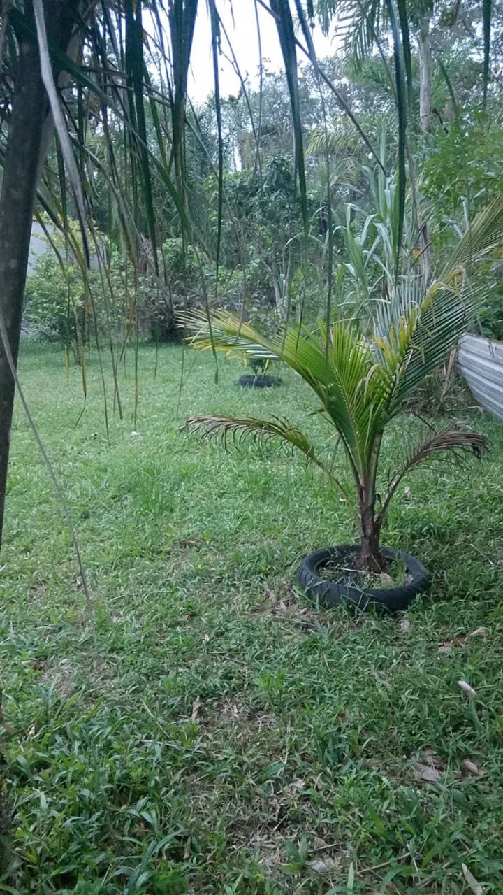 Terreno 10x40 - Foto 3