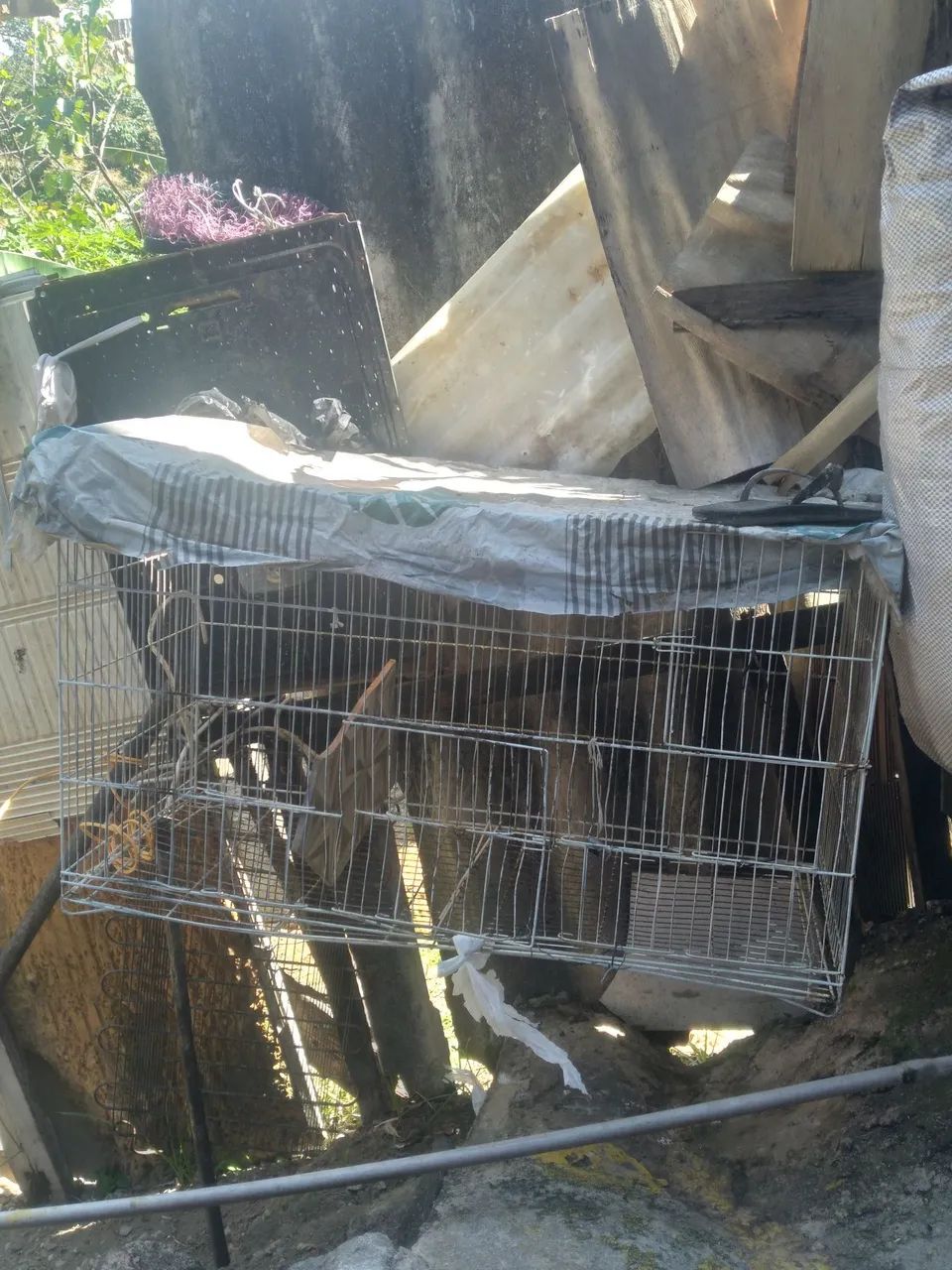 Vende-se gaiola 