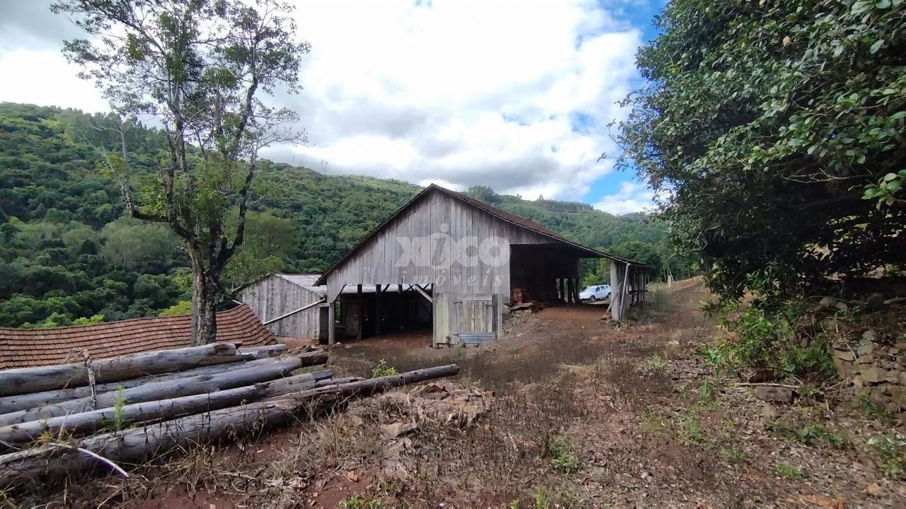 SÍTIO EM NOVA PETRÓPOLIS - Foto 5