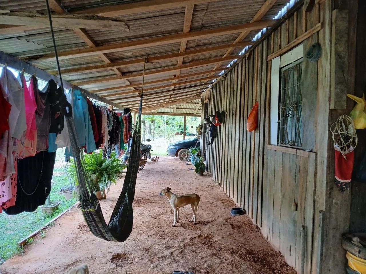 VENDO ESSA CHÁCARA  - Foto 3