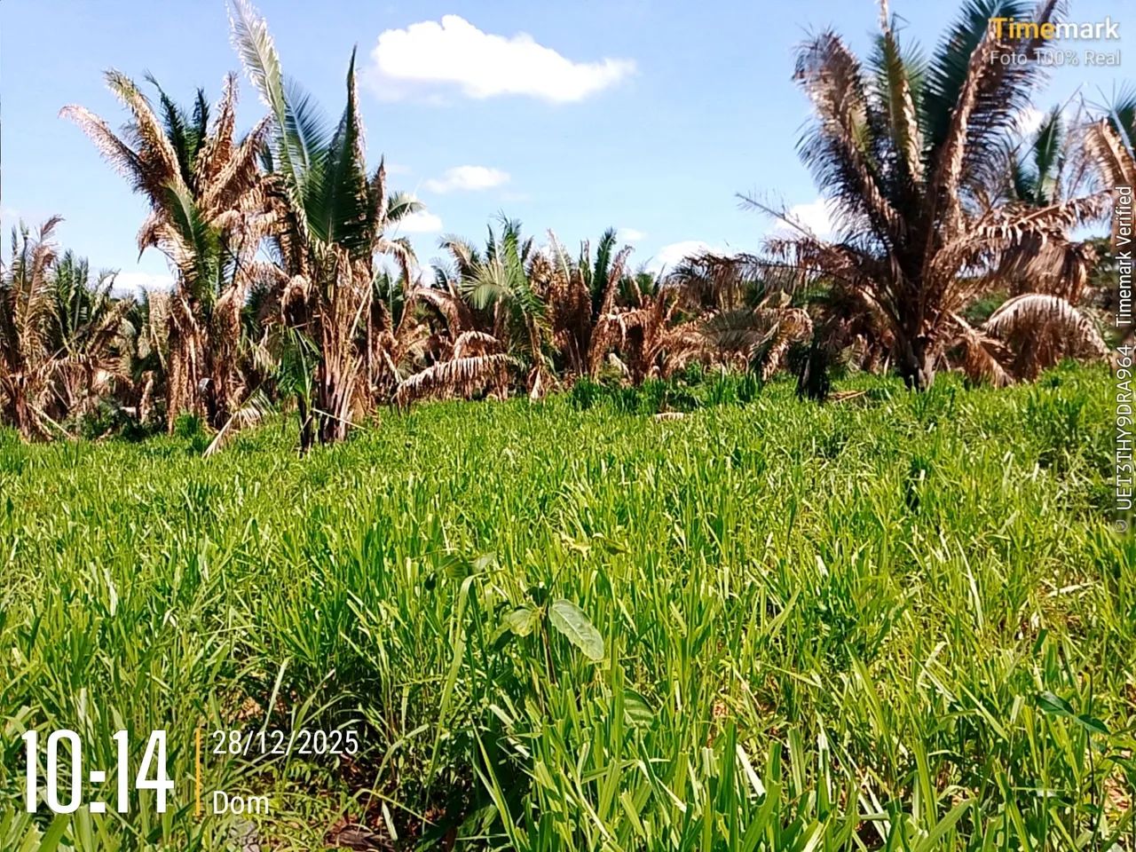 Foto - Recursolândia - 