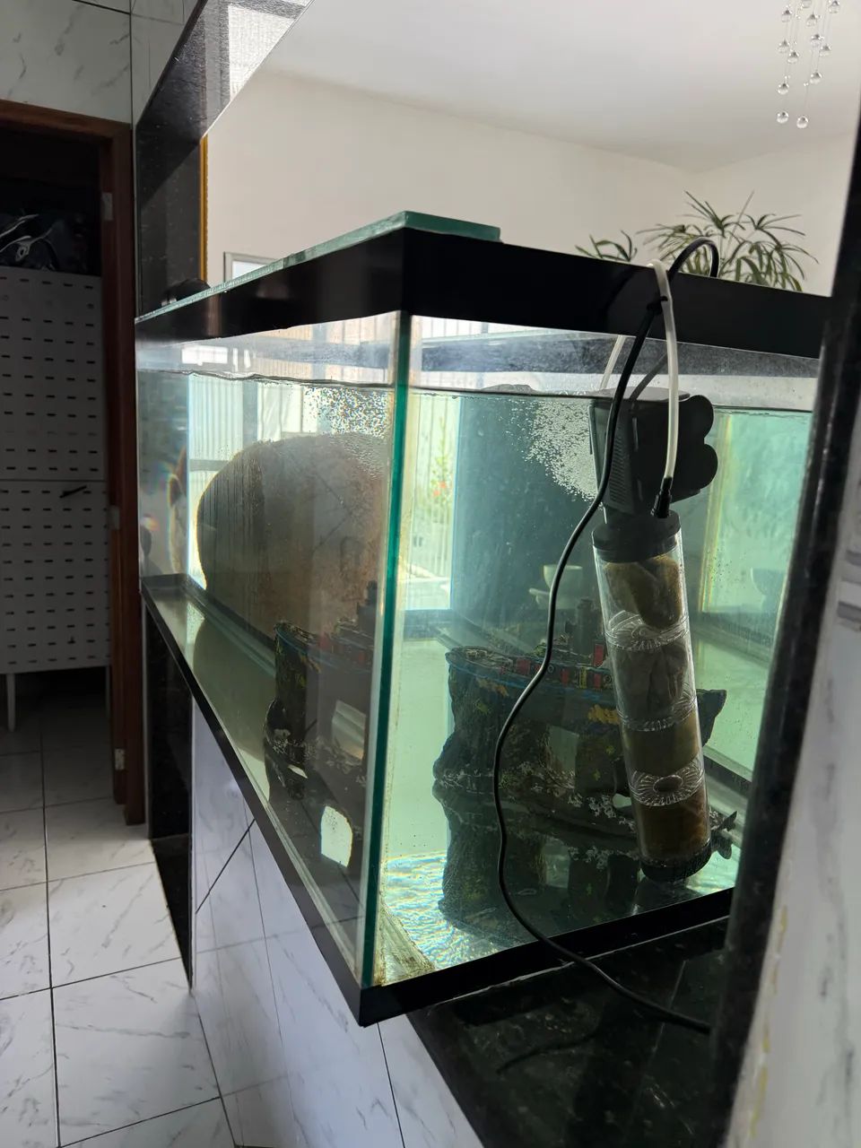 Aquário completo vendo com tudo dentro - Foto 4