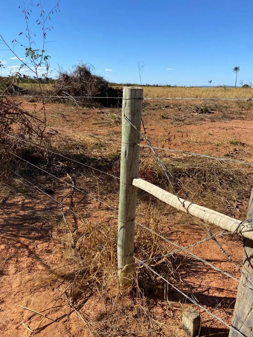 Fazenda à venda em Grão Mogol - MG<br>>  - Foto 5