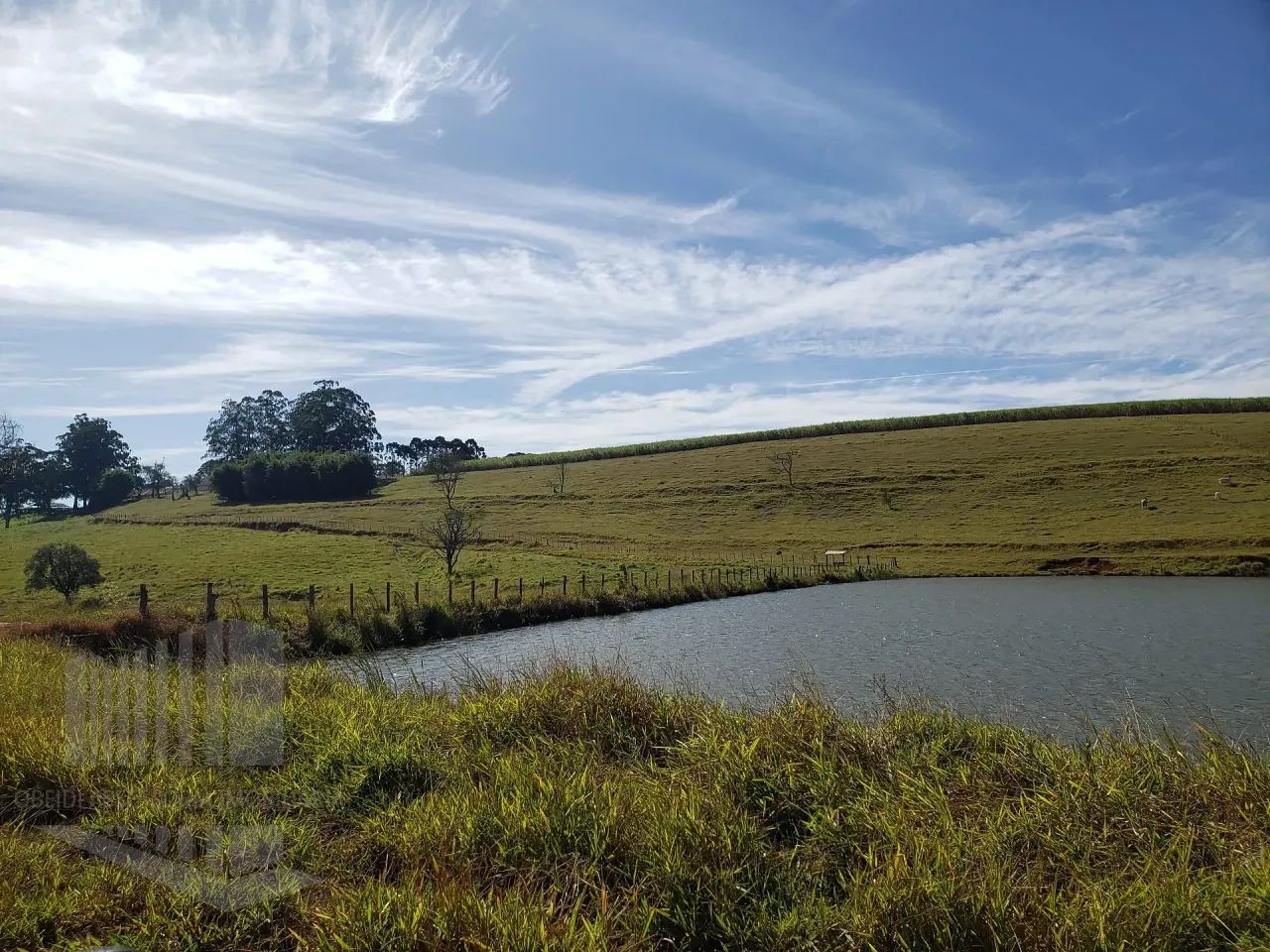 Fazenda à venda, Ipeúna, SP - Foto 4