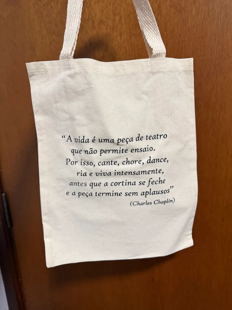 13 Sacolas para lembrancinhas - Foto 2