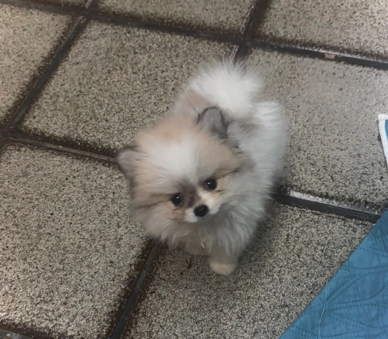 Linda Lulu  - Foto 2
