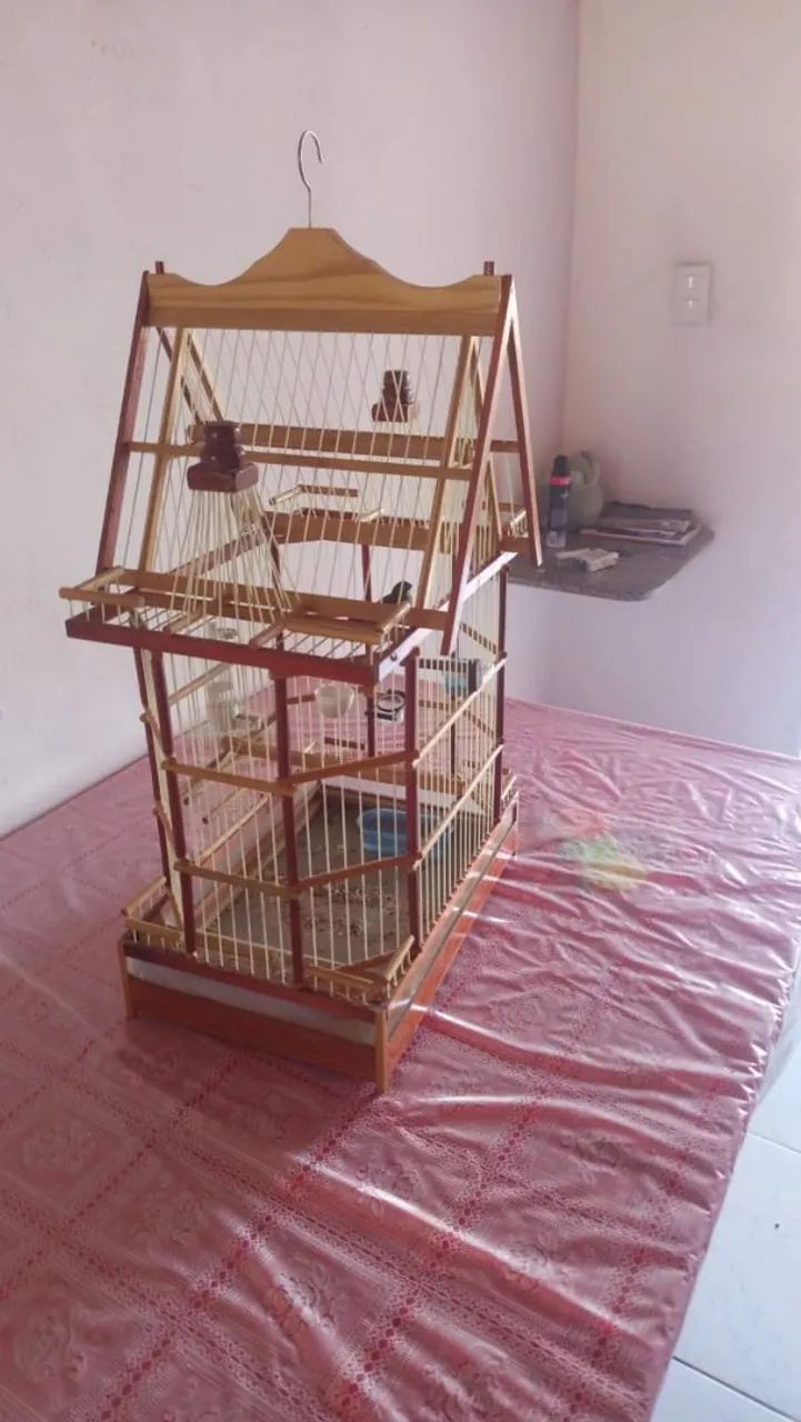 vende se uma gaiola e um curio - Foto 5