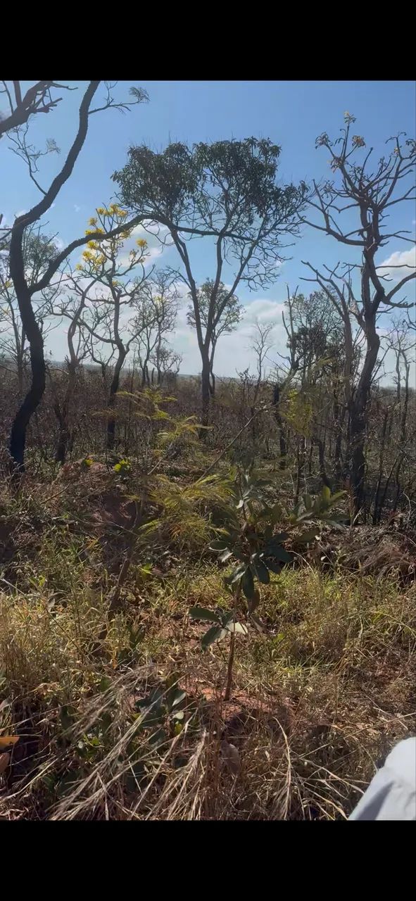 Foto - Campo Grande - Santo Antônio