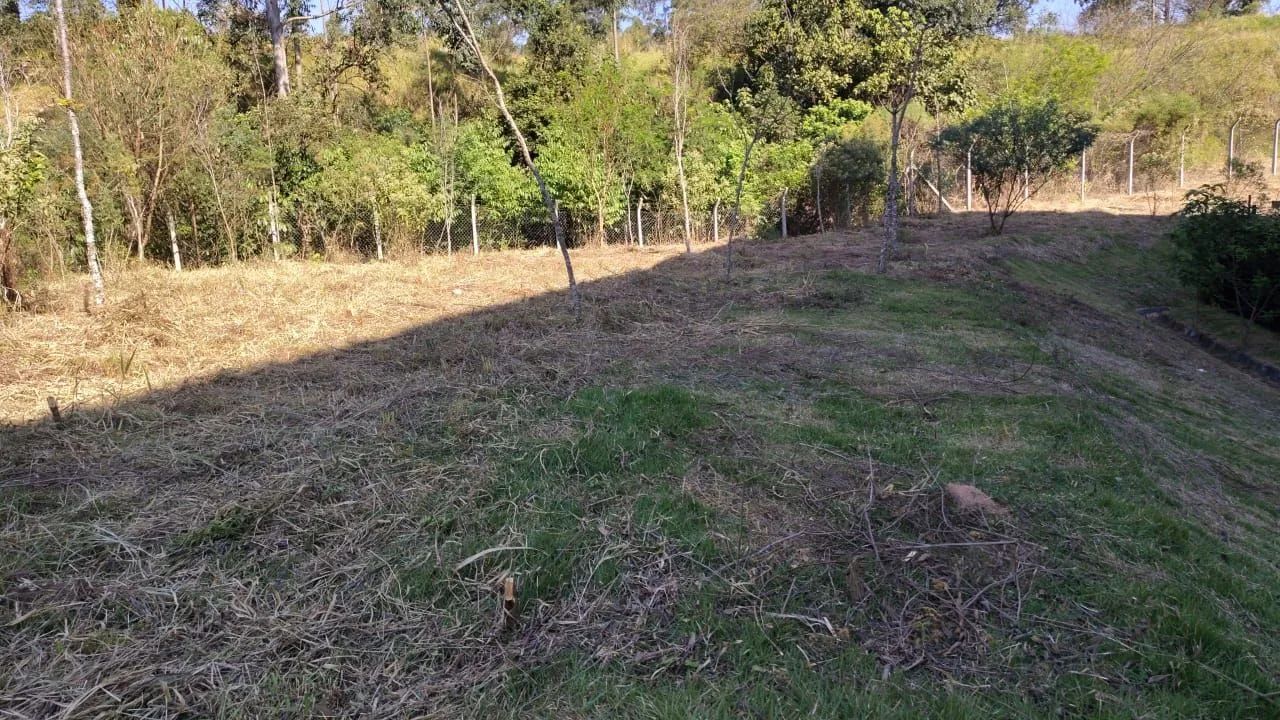 Roçador e ajudante  - Foto 4