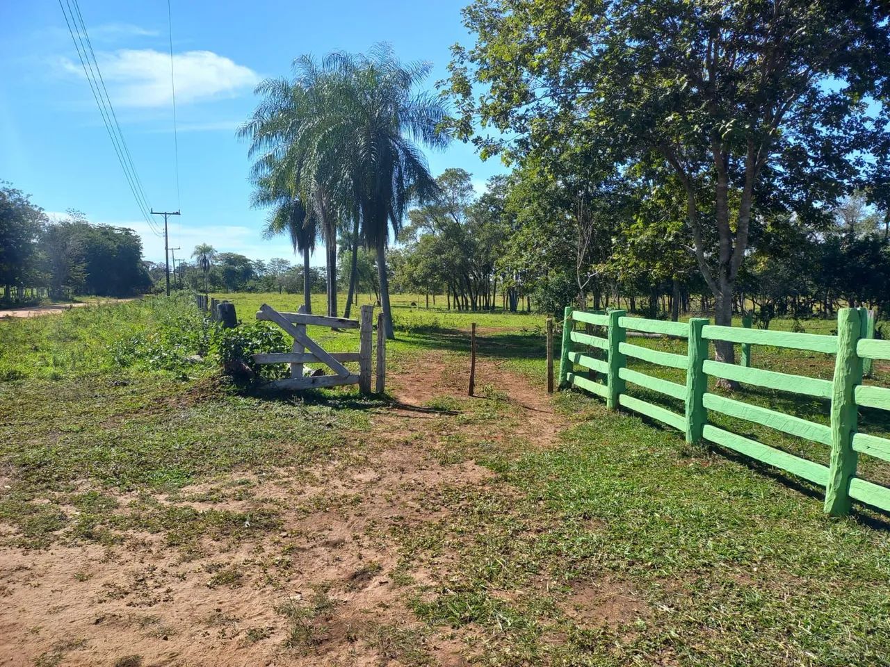 Chácara  - Foto 3