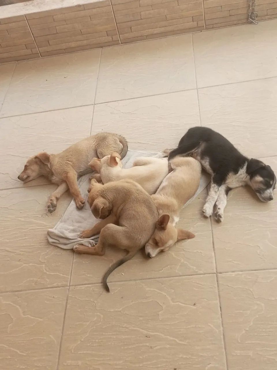 Doação  - Foto 2