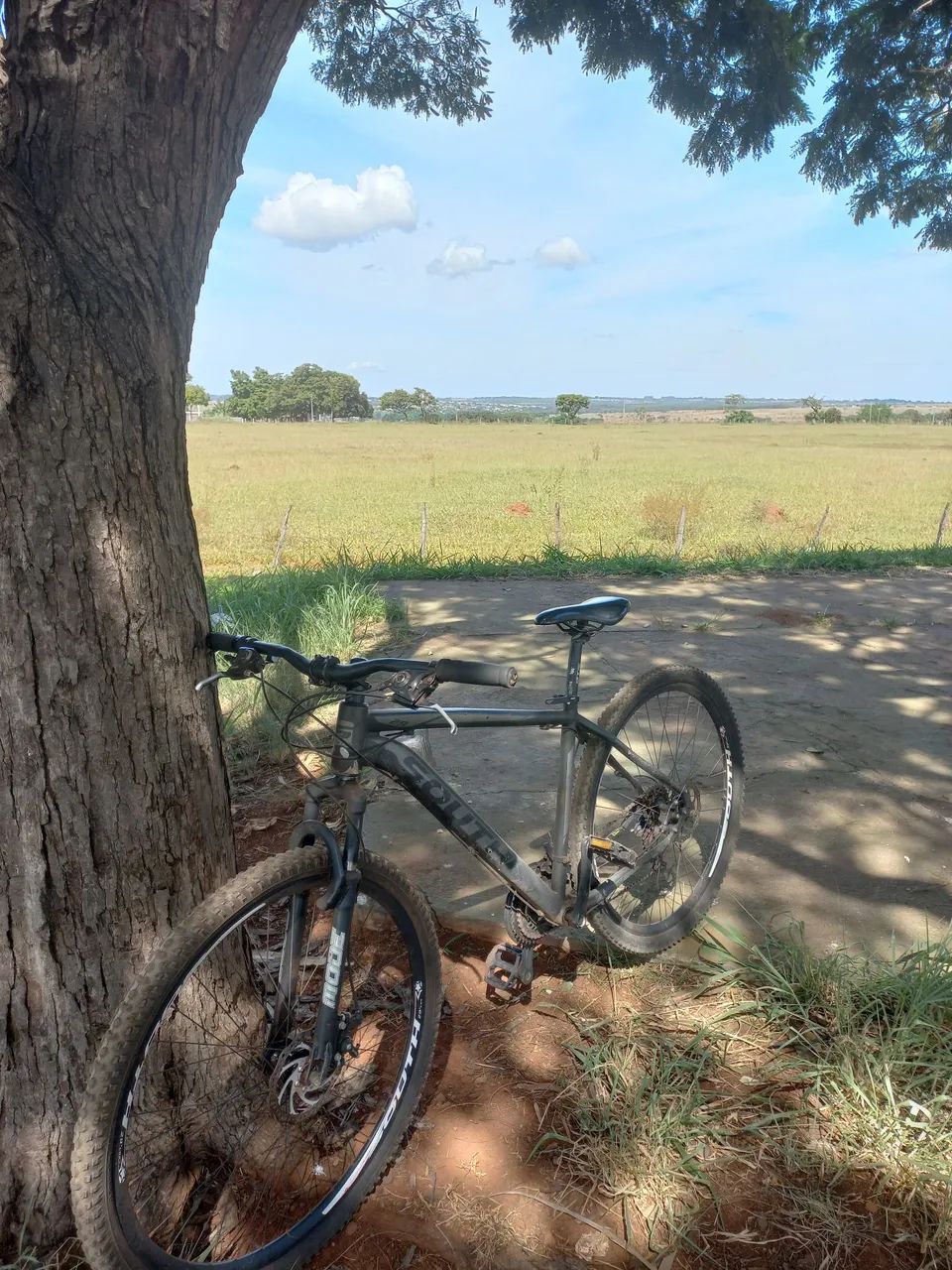Bicicleta aro 29