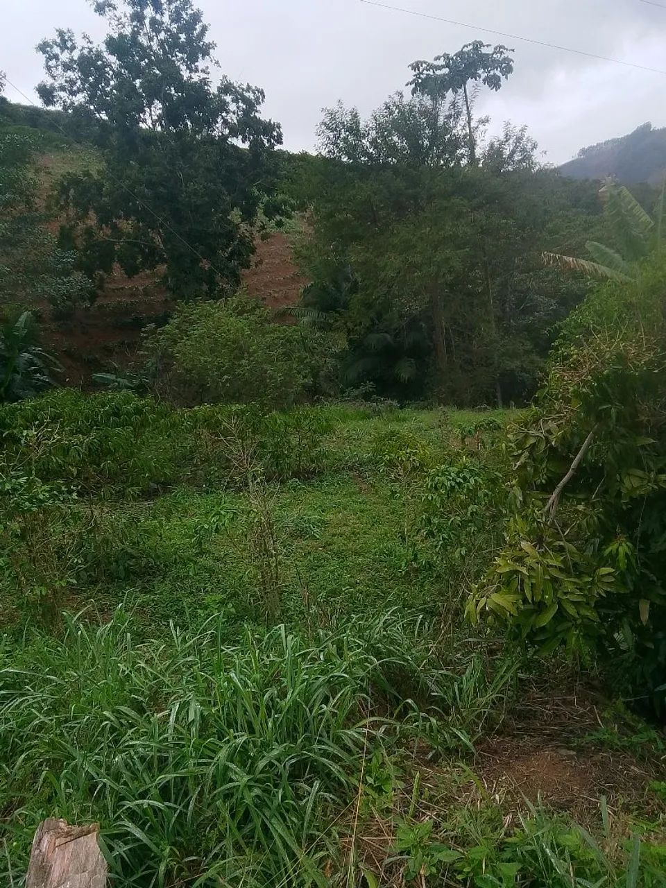 Vende-se lote de terra  - Foto 5